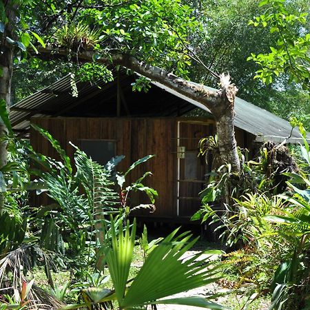 Hakuna Matata Amazon Lodge Archidona Eksteriør bilde
