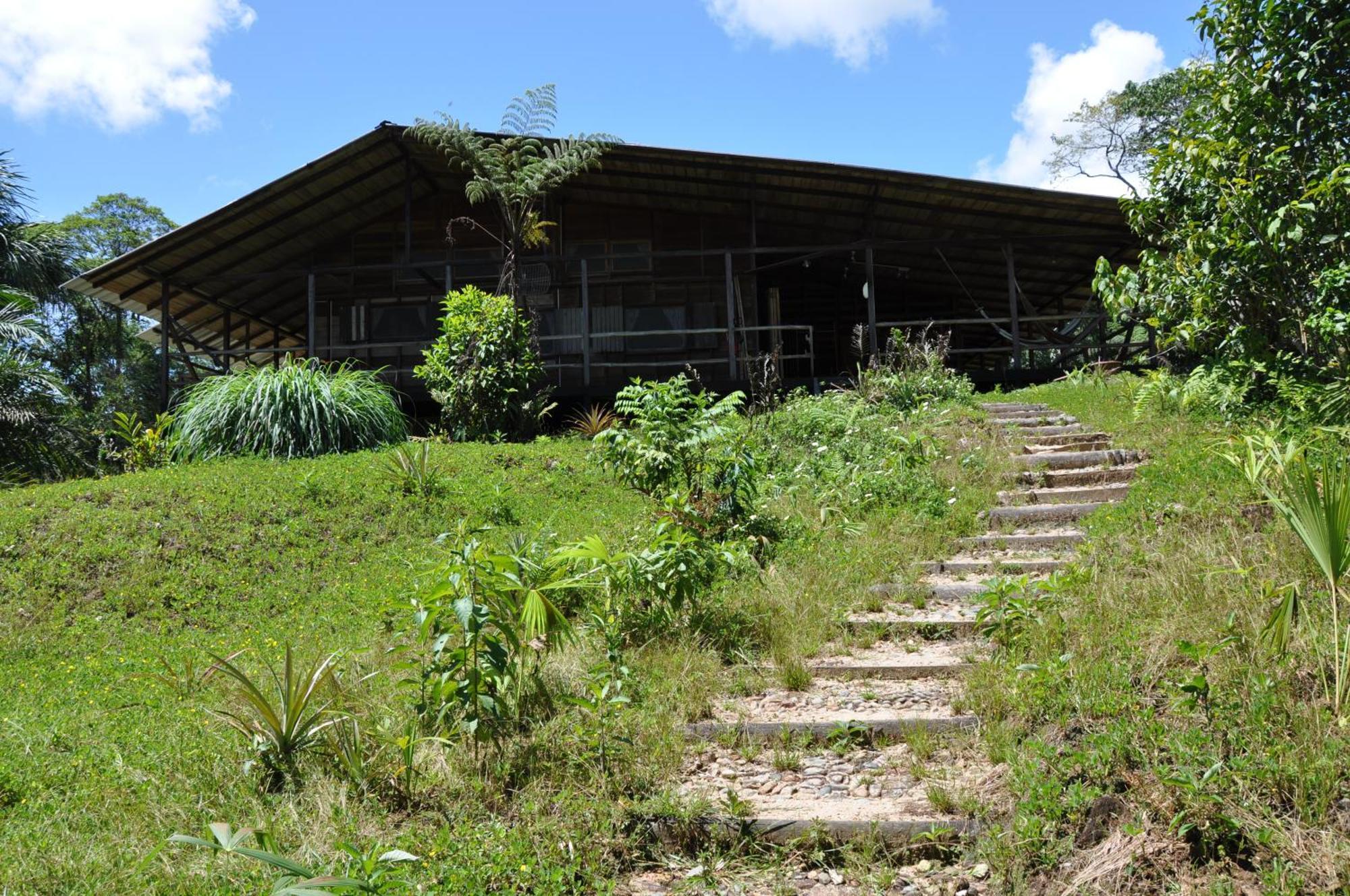 Hakuna Matata Amazon Lodge Archidona Eksteriør bilde