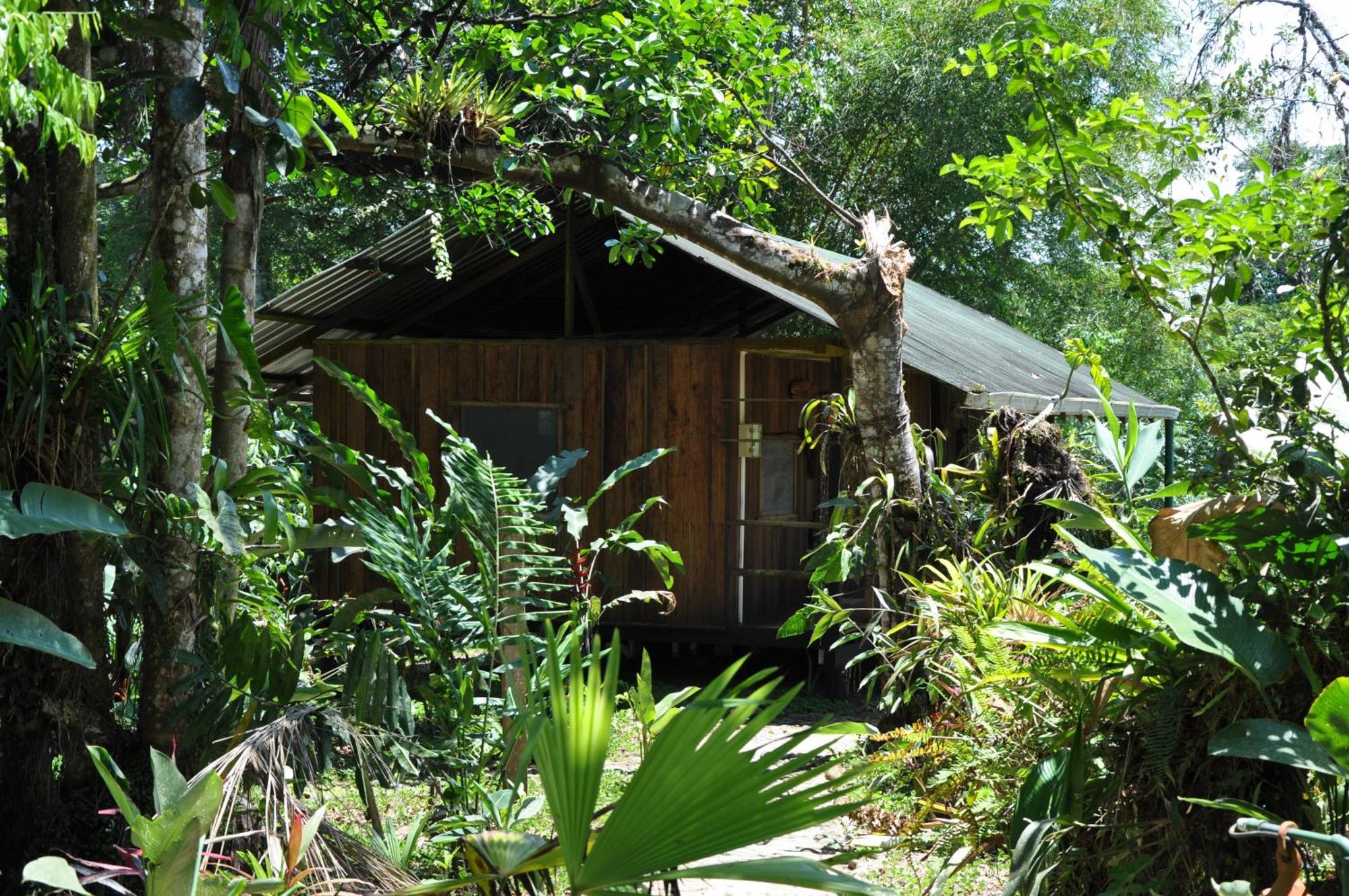 Hakuna Matata Amazon Lodge Archidona Eksteriør bilde