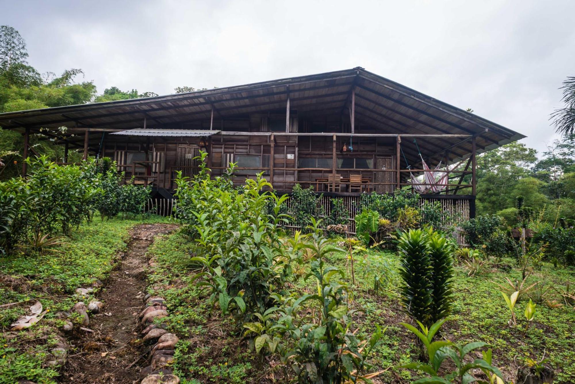 Hakuna Matata Amazon Lodge Archidona Rom bilde