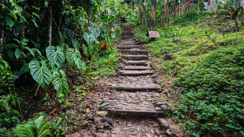 Hakuna Matata Amazon Lodge Archidona Eksteriør bilde